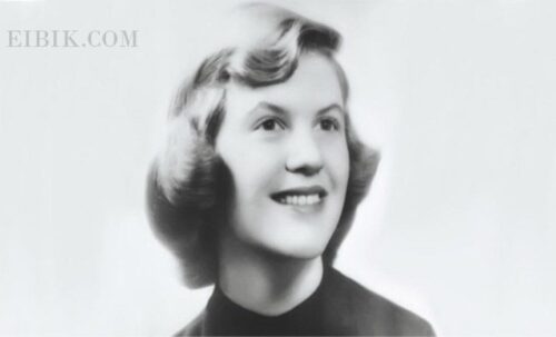 Sylvia Plath Biography Eibikcom