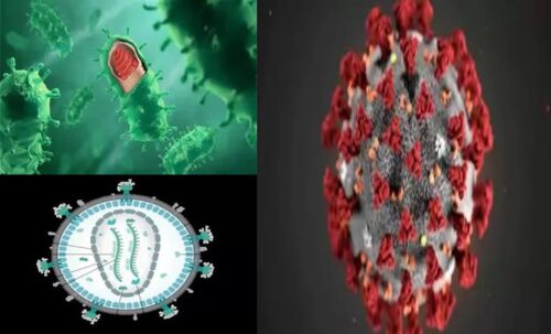 The most dangerous virus in the world | EIBIK.COM