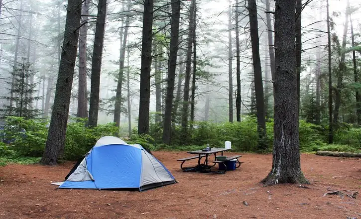 Top 7 Best Car Camping Sites in the United States