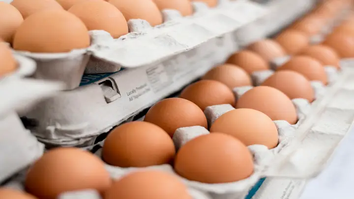 Egg Cartons Are The Best Thing It Happened to the Food industry