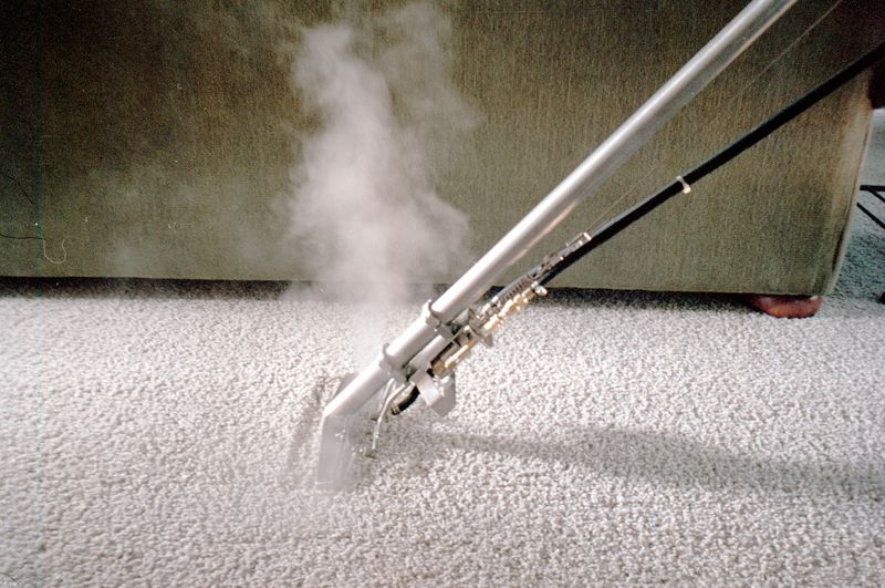 steam carpet cleaning vs hot water extraction